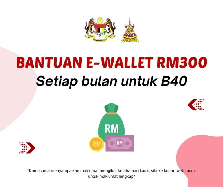 Bantuan e-Wallet RM300 setiap bulan untuk B40: Berikut cara memohon & menggunakannya