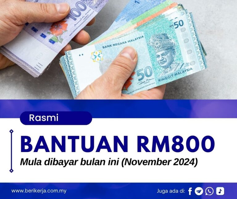 Bantuan RM800 mula dibayar bulan ini (November 2024): Senarai penuh penerima & cara semak